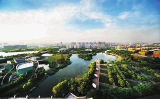 新江湾城最新爆料事件新闻,神秘事件引发热议,真相即将揭晓